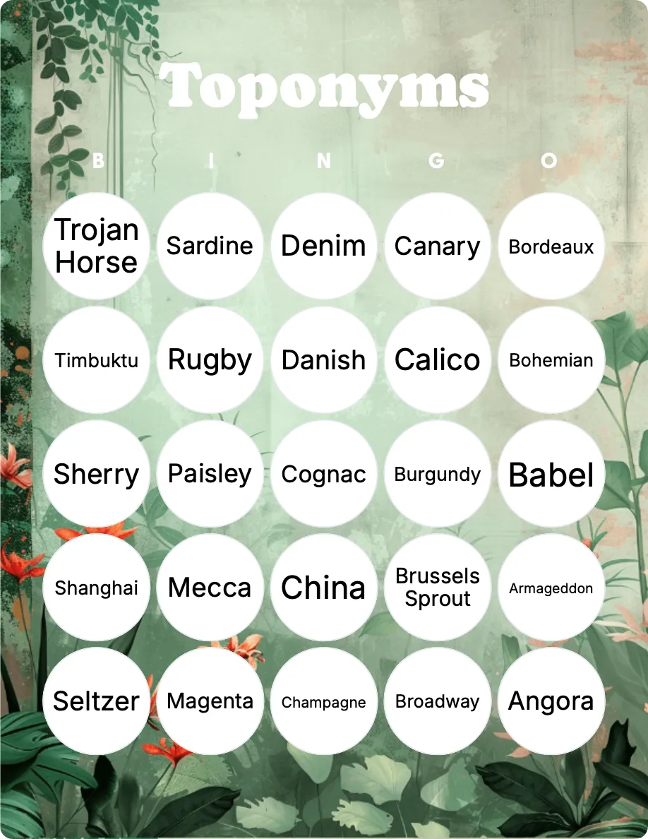 Toponyms bingo