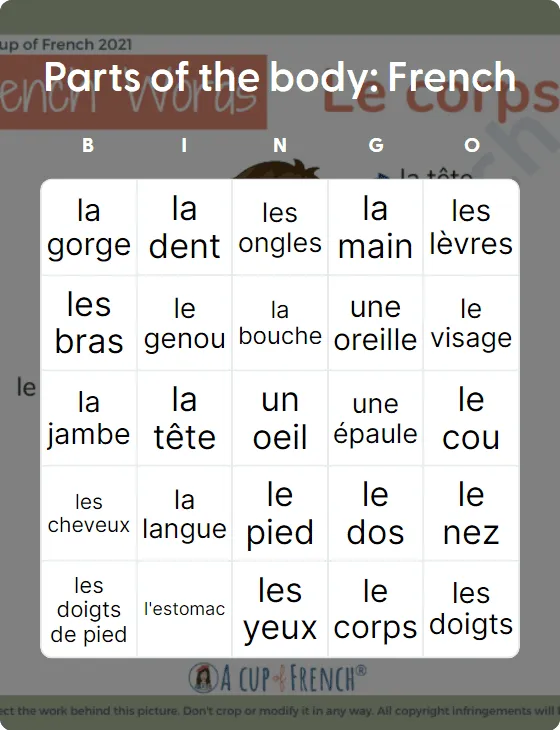 Parts of the body: French