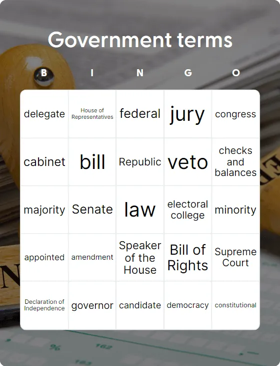 Government terms bingo