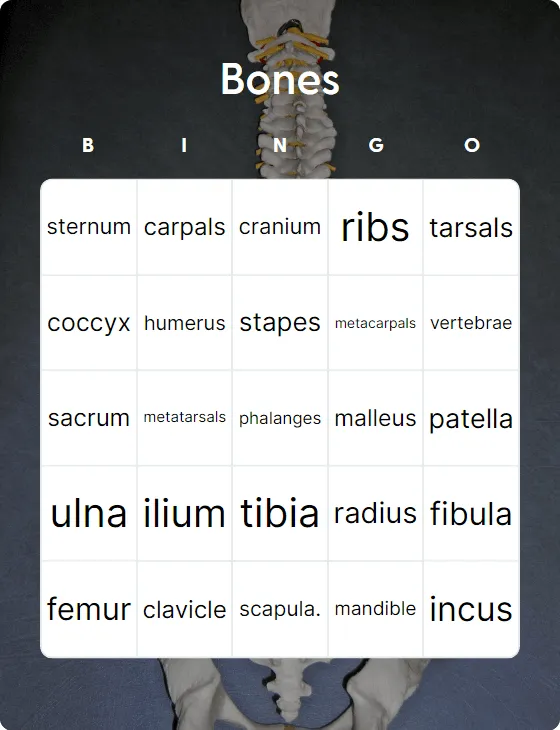 Bones bingo