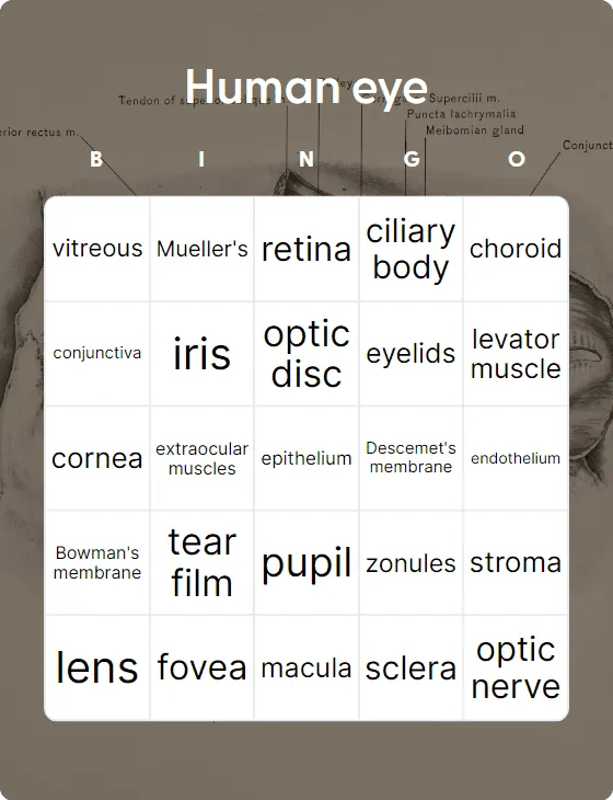 Human eye bingo