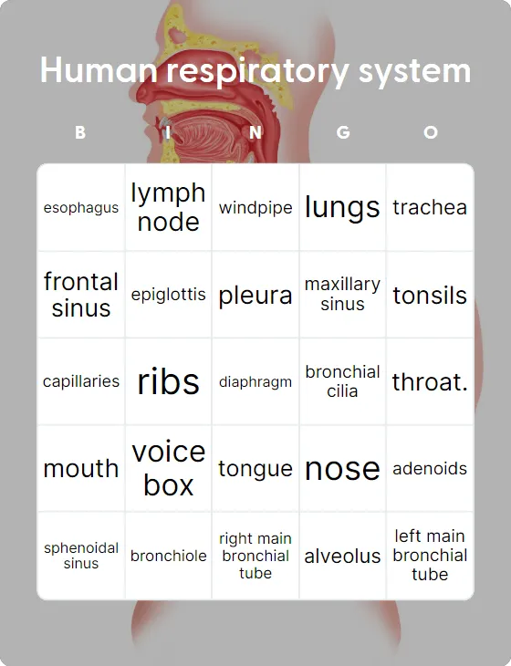 Human respiratory system bingo