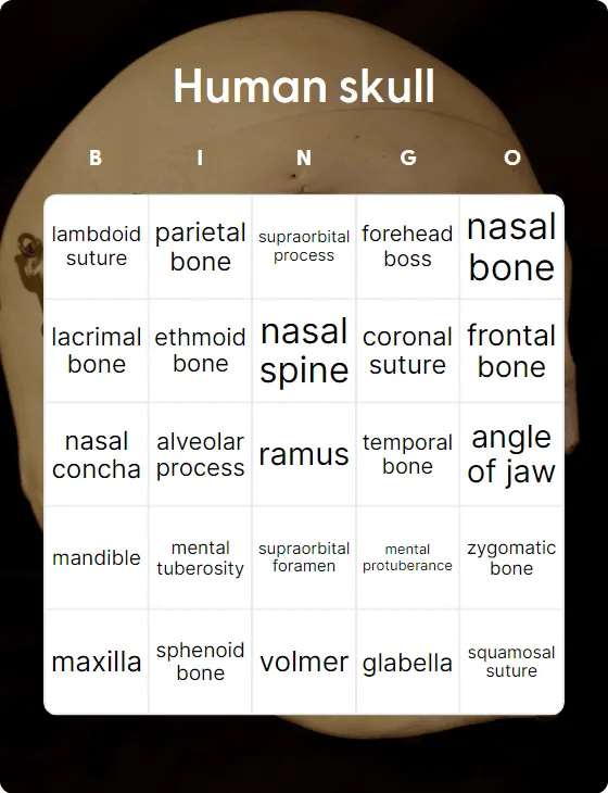 Human skull bingo card template