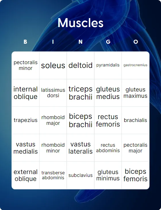 Muscles bingo