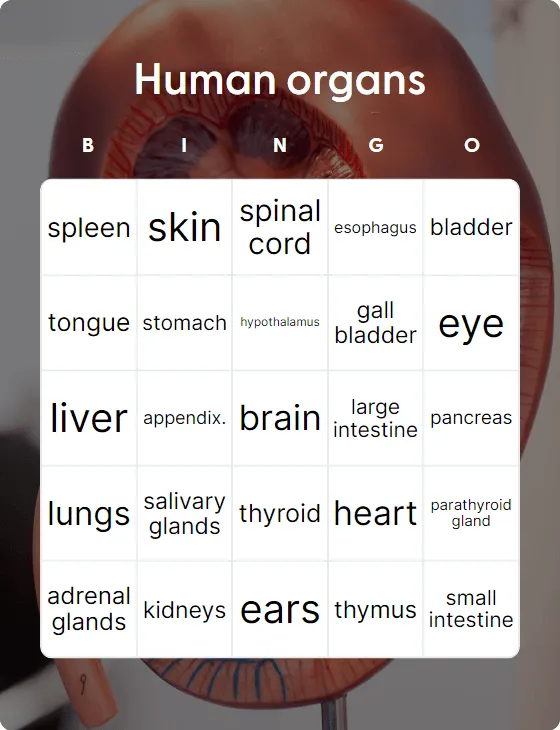 Human organs bingo