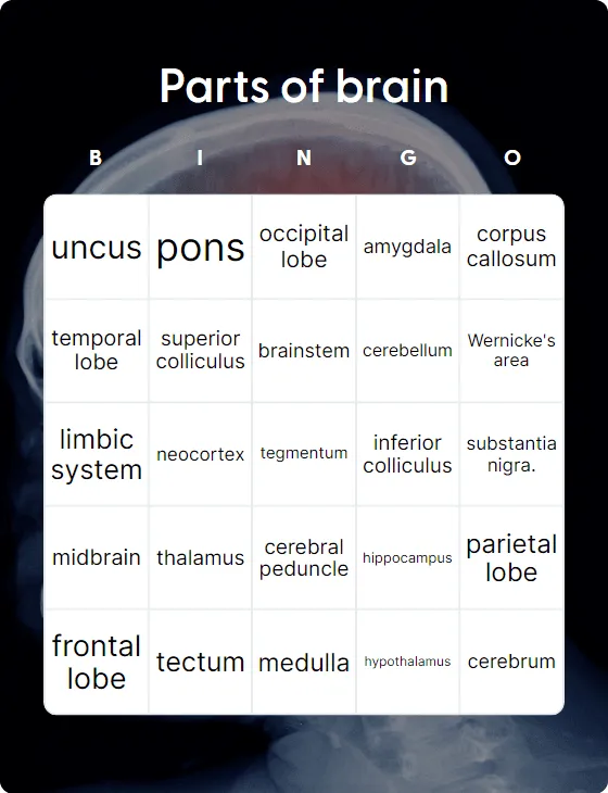 Parts of brain bingo