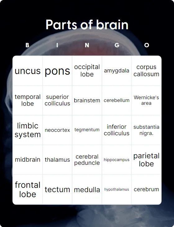 Parts of brain bingo card template