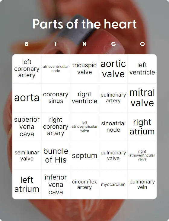 Parts of the heart bingo