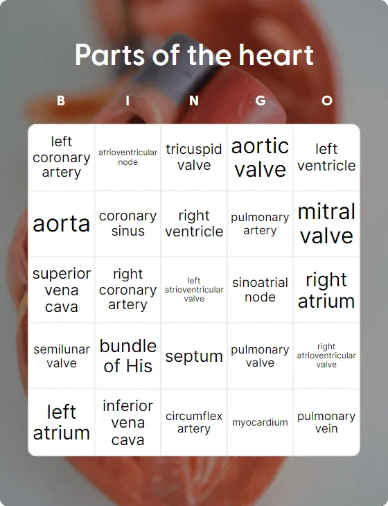 Parts of the heart