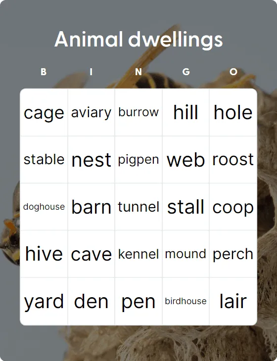 Animal dwellings bingo