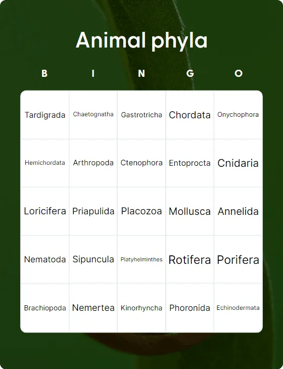 Animal phyla bingo card template