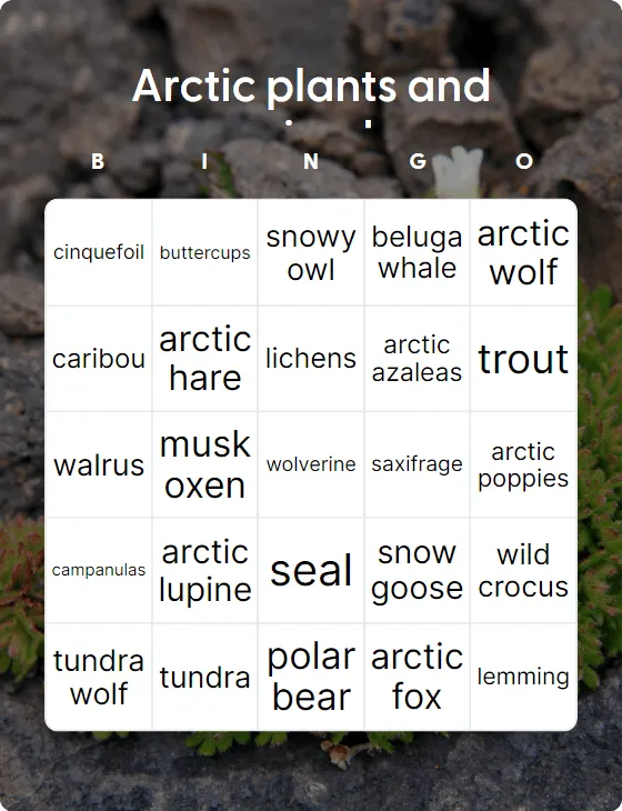 Arctic plants and animals bingo