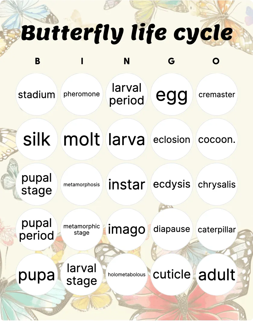 Butterfly life cycle