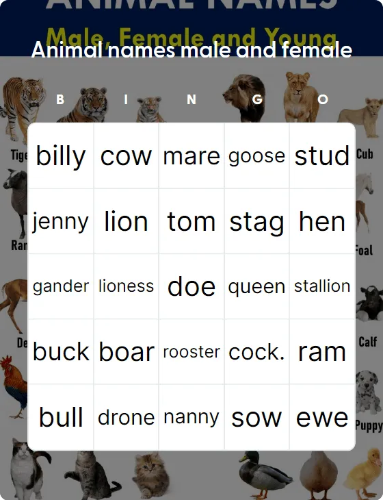 Animal names male and female bingo