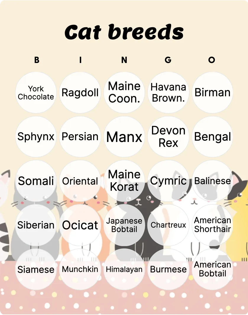 Cat breeds bingo