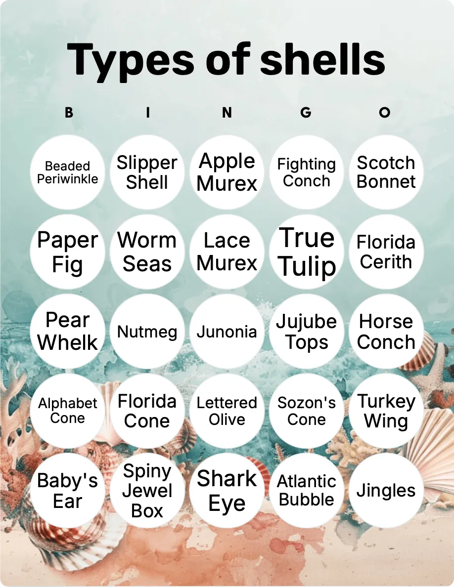 Types of shells bingo card template