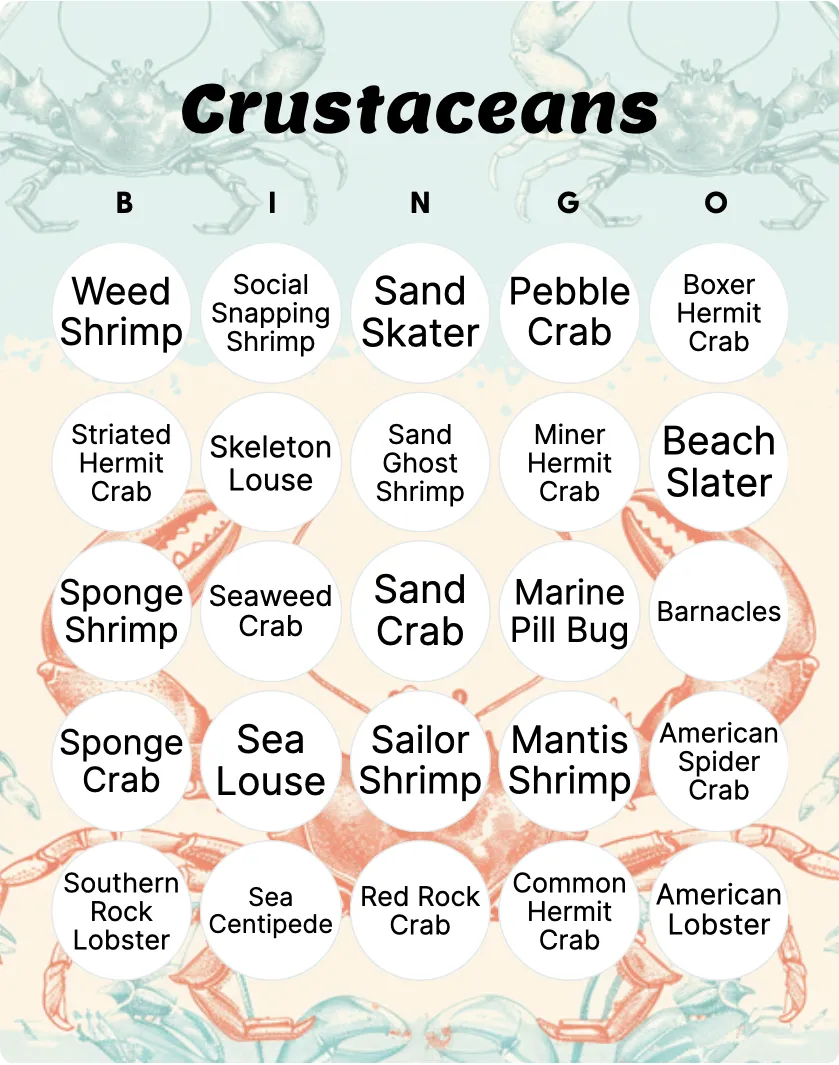 Crustaceans