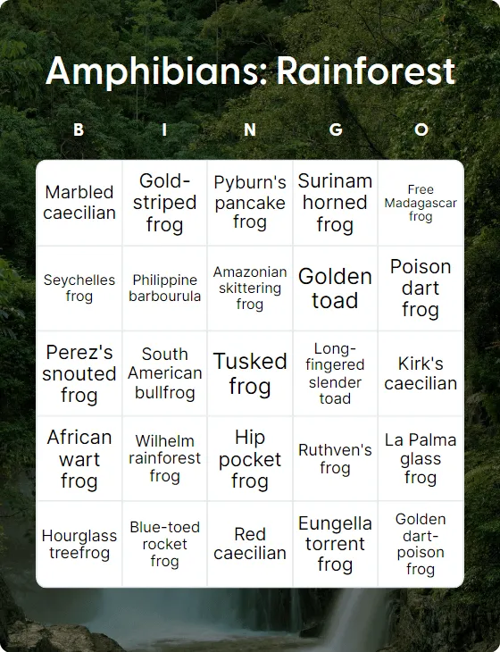 Amphibians: Rainforest