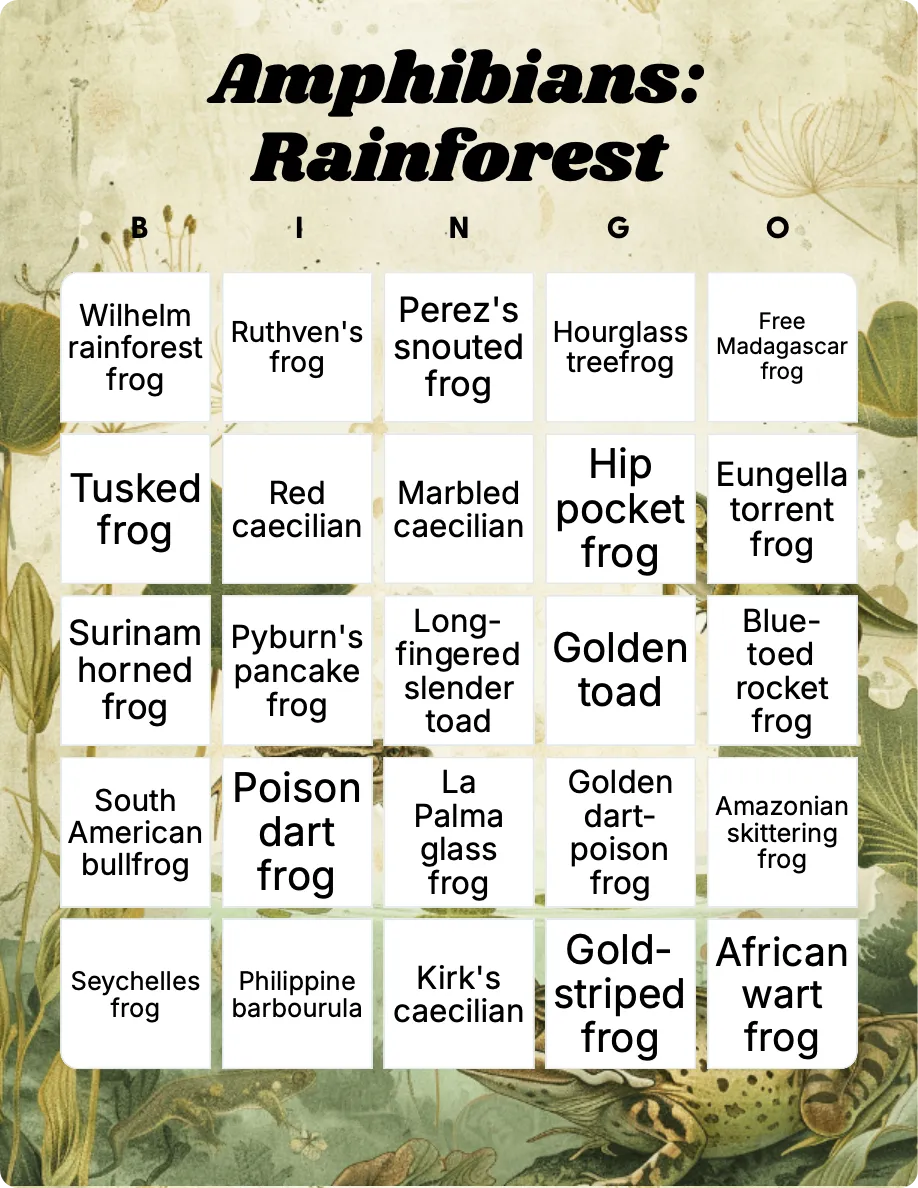 Amphibians: Rainforest bingo card template