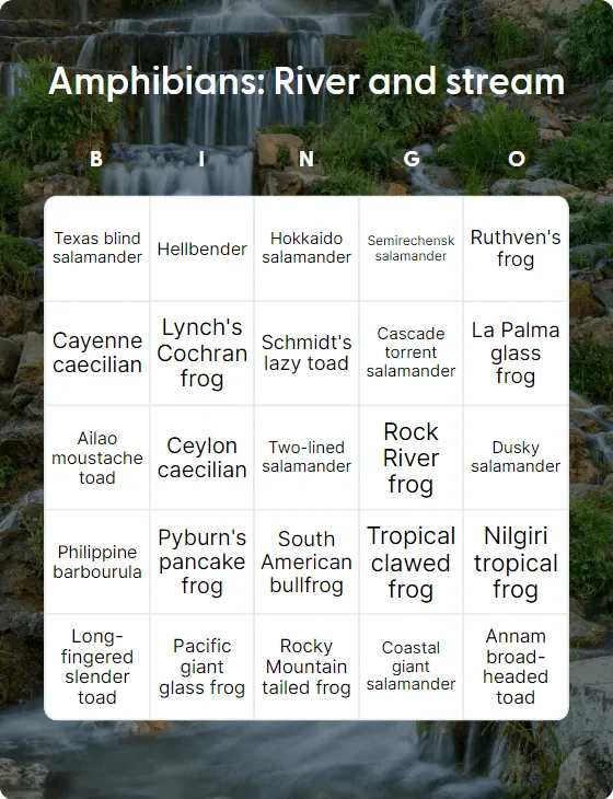 Amphibians: River and stream bingo card template