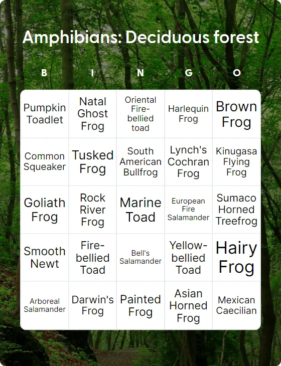 Amphibians: Deciduous forest bingo