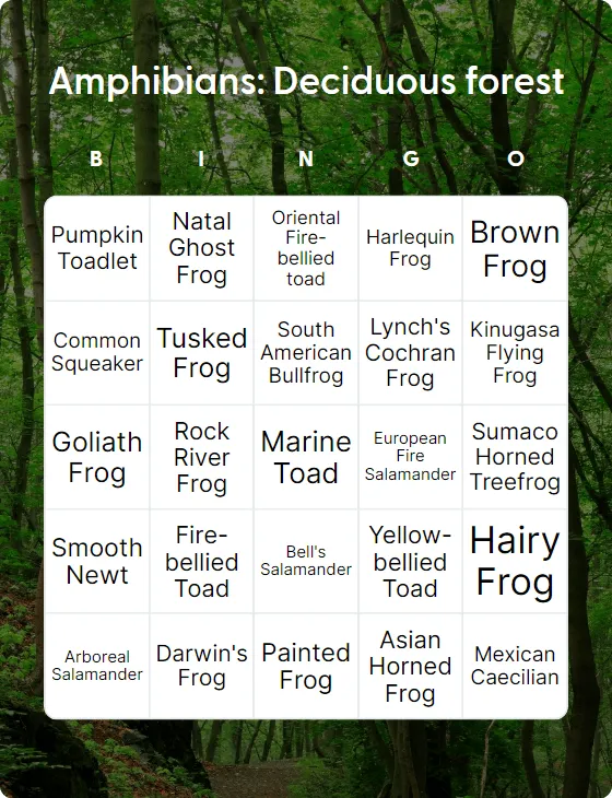 Amphibians: Deciduous forest