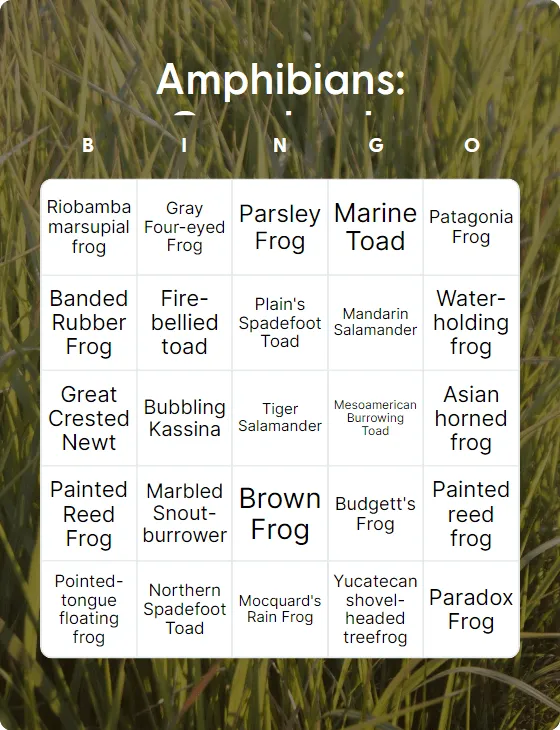 Amphibians: Grasslands