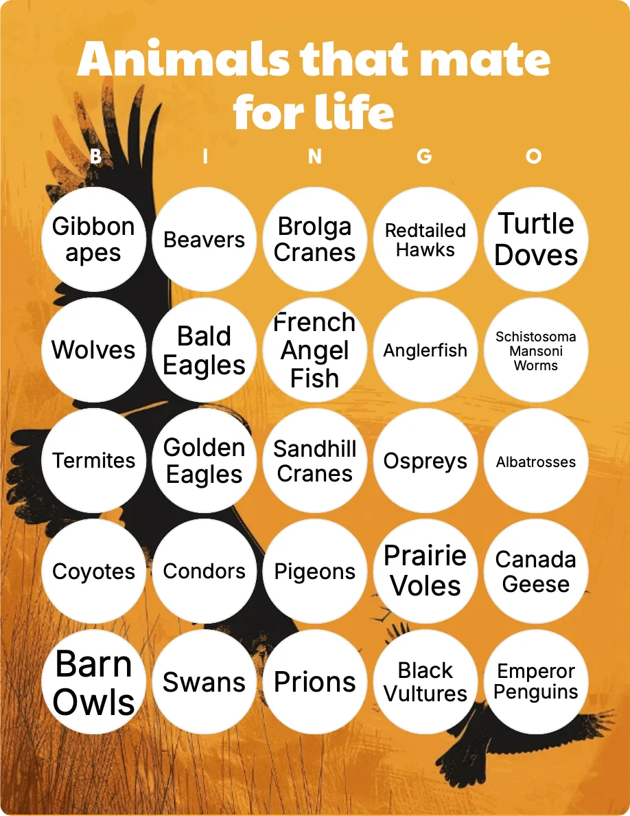 Animals that mate for life bingo