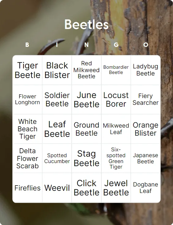 Beetles bingo card template