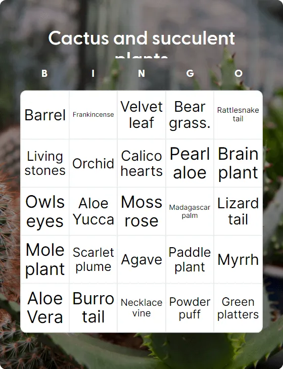 Cactus and succulent plants bingo