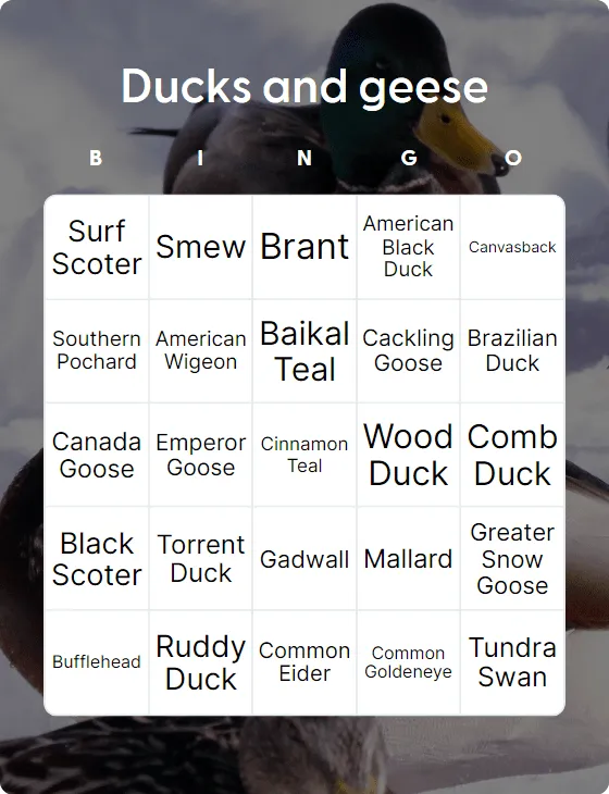 Ducks and geese bingo card template