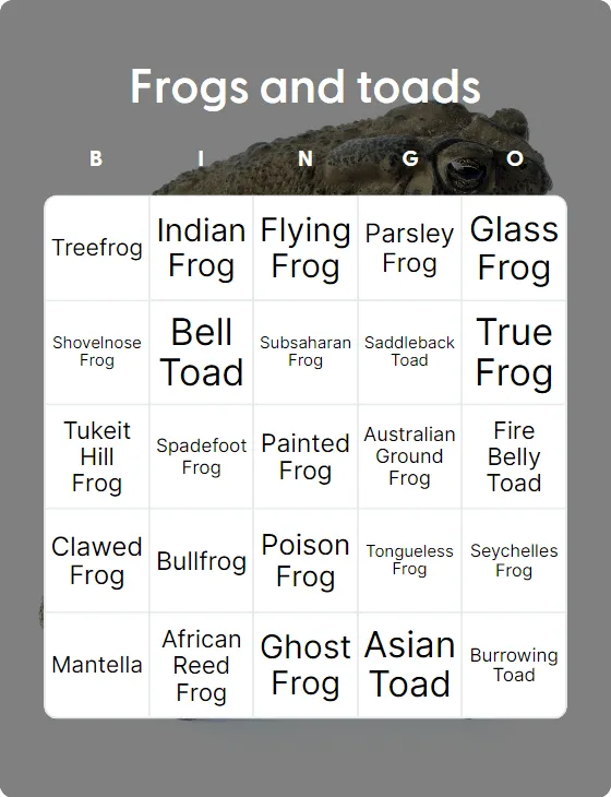 Frogs and toads bingo