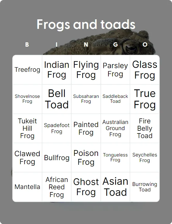 Frogs and toads bingo card template