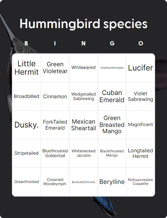 Hummingbird species bingo