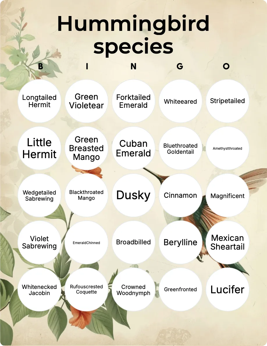 Hummingbird species bingo