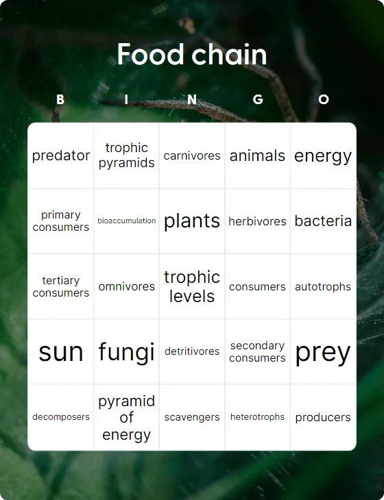 Food chain bingo