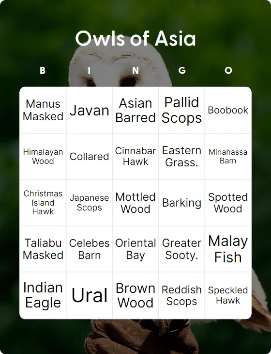 Owls of Asia bingo