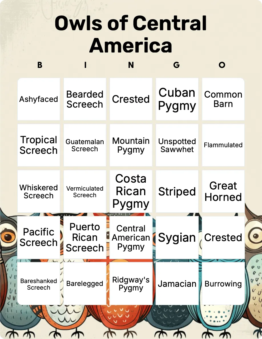 Owls of Central America bingo card template