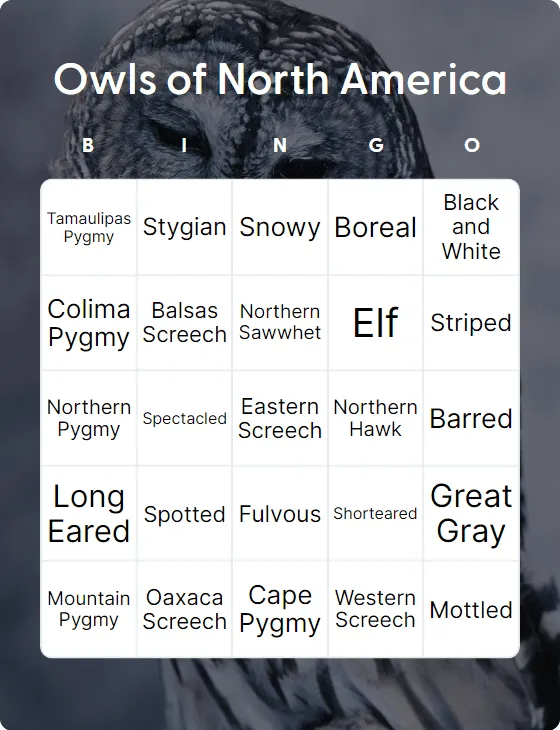 Owls of North America bingo card template