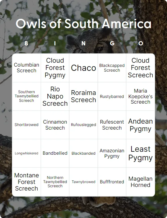 Owls of South America bingo