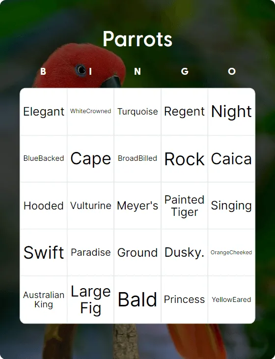 Parrots bingo