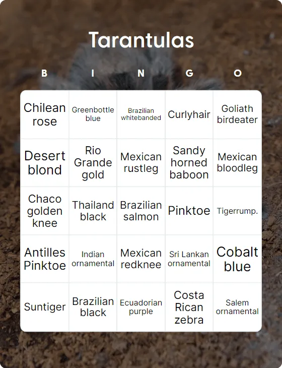 Tarantulas bingo