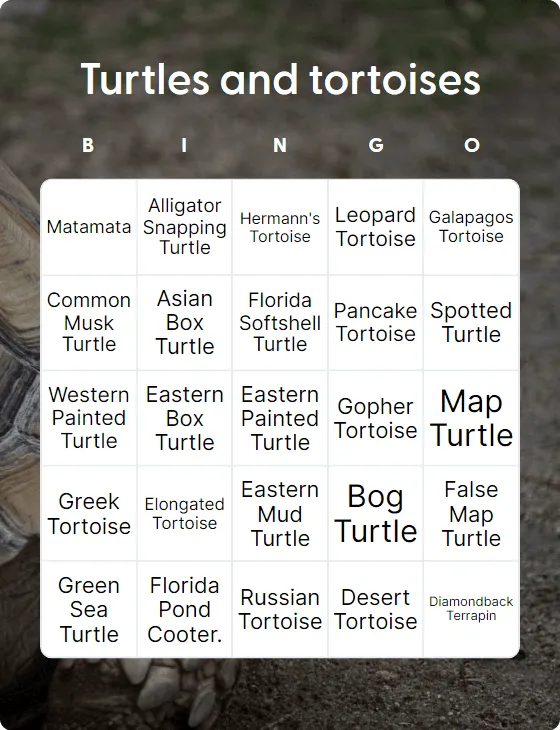 Turtles and tortoises bingo card template