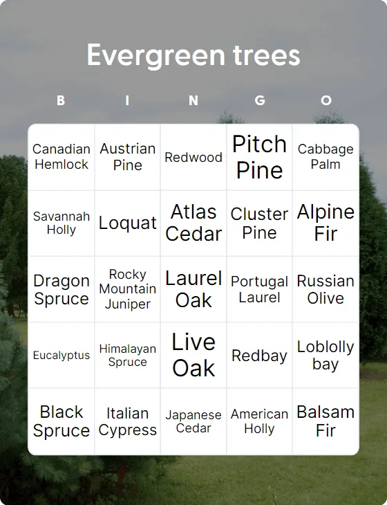 Evergreen trees bingo card template