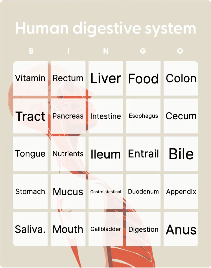 Human digestive system bingo