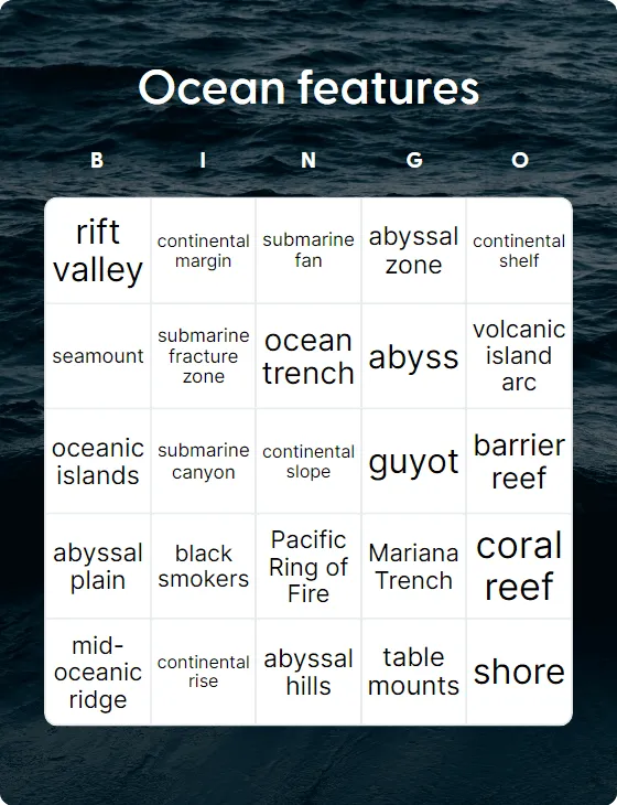 Ocean features bingo