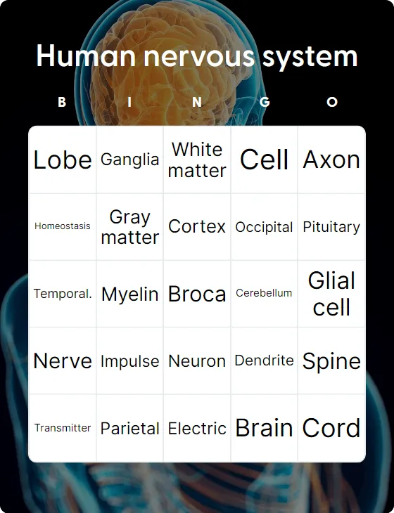 Human nervous system bingo