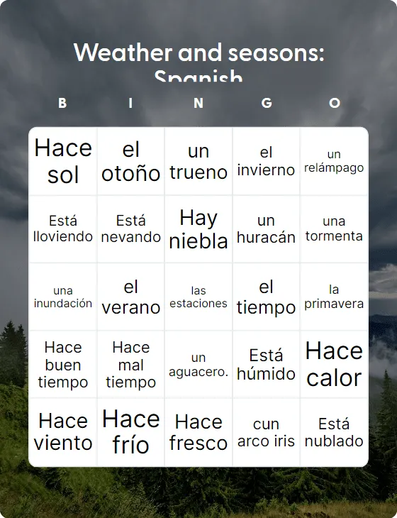 Weather and seasons: Spanish bingo