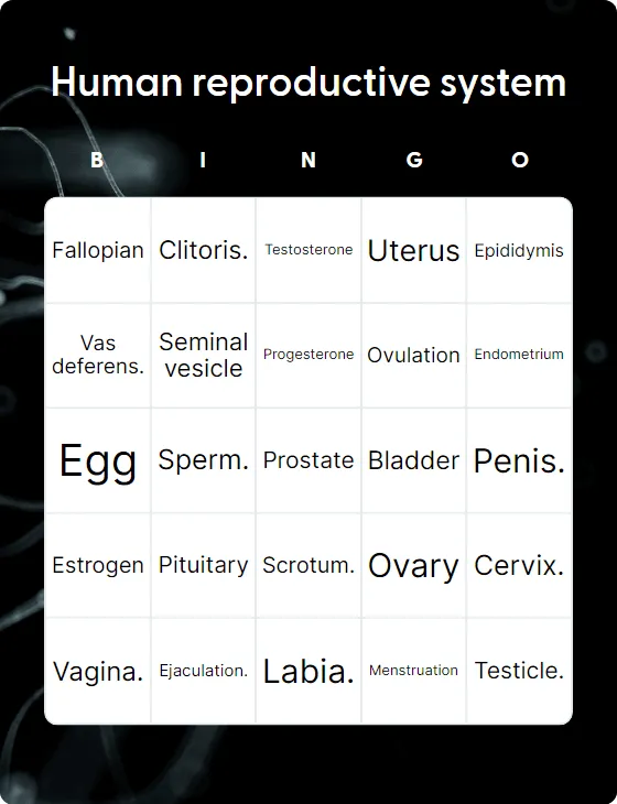 Human reproductive system bingo