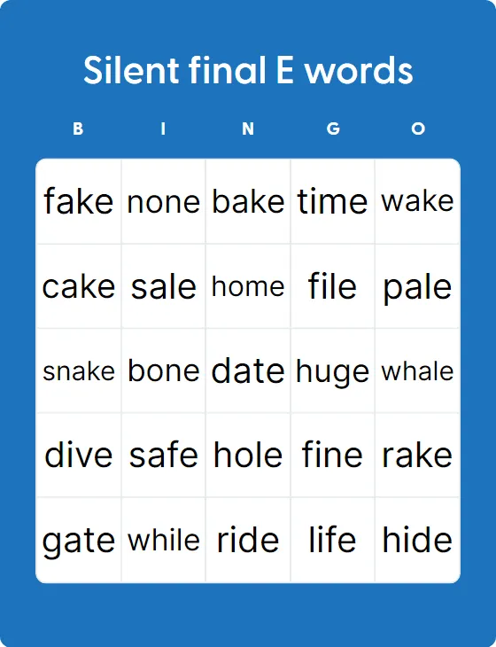 Silent final E words bingo